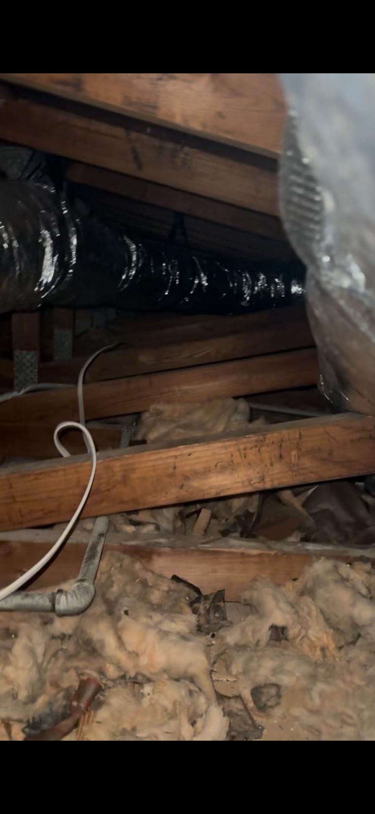 Attic insulation after